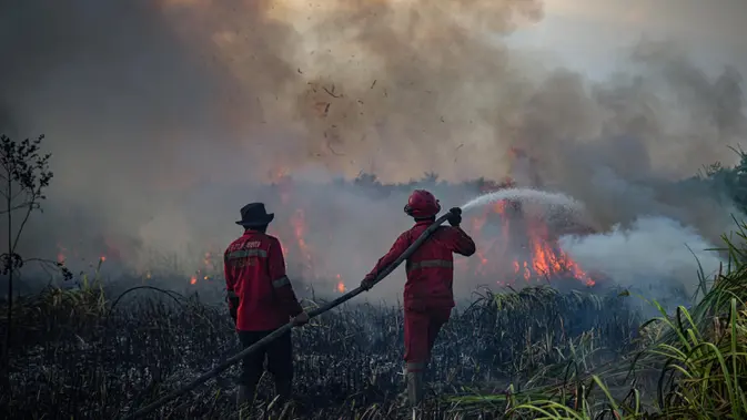 Warga Tewas Terbakar Saat Terobos Kepulan Asap Karhutla di Ketapang Warga Tewas Terbakar Saat Terobos Kepulan Asap Karhutla di Ketapang