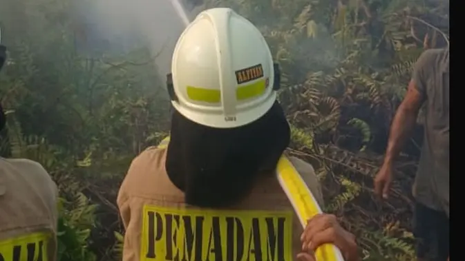 Kebakaran Dekat Stasiun Kampung Bandan Diduga Akibat Rokok, KRL Terganggu Kebakaran Dekat Stasiun Kampung Bandan Diduga Akibat Rokok, KRL Terganggu