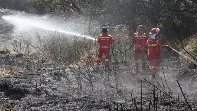Kebakaran Padam, Bromo Bisa Dikunjungi Lagi Mulai 20 Agustus Kebakaran Padam, Bromo Bisa Dikunjungi Lagi Mulai 20 Agustus