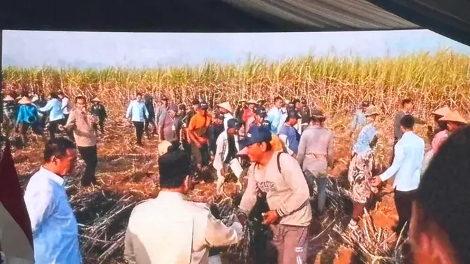 Momen Prabowo Berbincang dengan Petani Tebu Sebelum Panen Raya Malang Momen Prabowo Berbincang dengan Petani Tebu Sebelum Panen Raya Malang