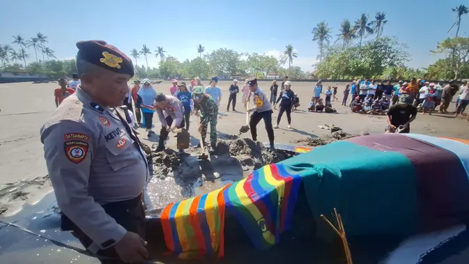 Paus Bungkuk Terdampar di Bali, Kondisi Mengenaskan Paus Bungkuk Terdampar di Bali, Kondisi Mengenaskan