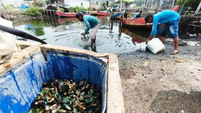 Laut Tarumajaya Bekasi Diduga Tercemar, DPRD Usut Penyebabnya Laut Tarumajaya Bekasi Diduga Tercemar, DPRD Usut Penyebabnya
