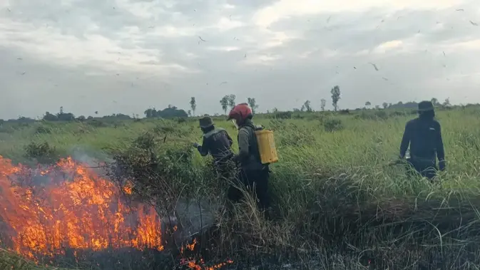115 Titik Panas Terdeteksi di Lampung 115 Titik Panas Terdeteksi di Lampung
