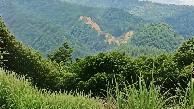 Dampak Gempa M 6,7 Palu: Gunung Kamarora di Sigi Longsor, Infrastruktur Rusak Dampak Gempa M 6,7 Palu: Gunung Kamarora di Sigi Longsor, Infrastruktur Rusak