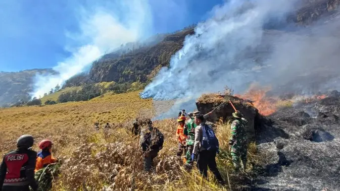 Kebakaran Bromo Belum Padam, Lahan Terbakar Capai 10 Hektare Kebakaran Bromo Belum Padam, Lahan Terbakar Capai 10 Hektare