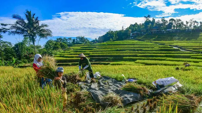 DPR Minta Pemerintah Geser Tolok Ukur Beberhasilan Ekonomi DPR Minta Pemerintah Geser Tolok Ukur Beberhasilan Ekonomi
