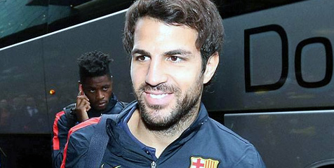 Scholes Juga Ingin Fabregas Gabung United Scholes Juga Ingin Fabregas Gabung United