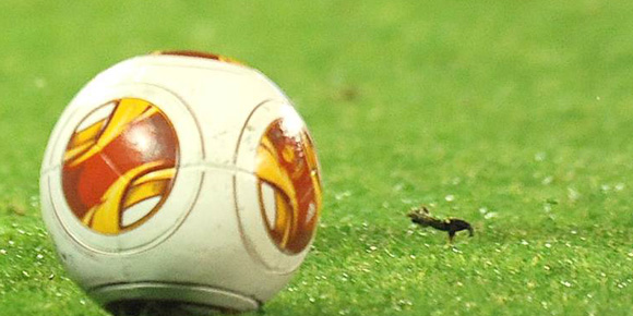 Highlights UEL: Fiorentina 3-0 Pandurii Highlights UEL: Fiorentina 3-0 Pandurii