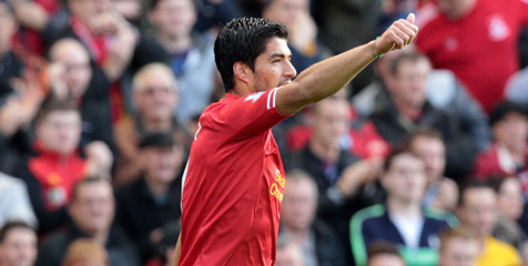 Suarez Desak Liverpool Konsisten Hingga Natal Suarez Desak Liverpool Konsisten Hingga Natal