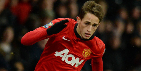 Januzaj Masuk Skuat Awal Belgia Untuk Piala Dunia Januzaj Masuk Skuat Awal Belgia Untuk Piala Dunia