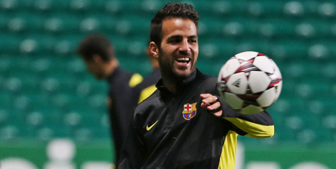 Fabregas Berpotensi Membelot ke Bayern Fabregas Berpotensi Membelot ke Bayern