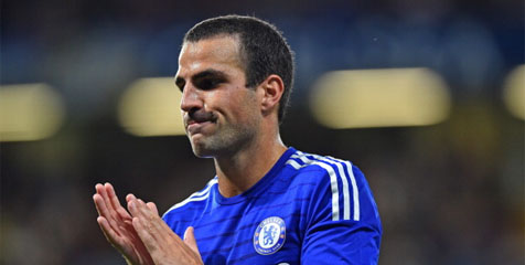Fabregas Tak Pernah Menyangka Bakal Perkuat Chelsea Fabregas Tak Pernah Menyangka Bakal Perkuat Chelsea