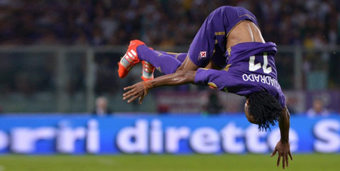 La Viola Cita Rasa Internasional La Viola Cita Rasa Internasional