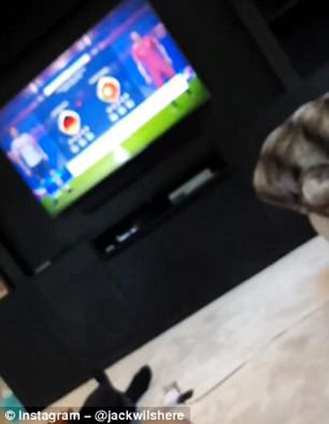 Kegiatan Wilshere