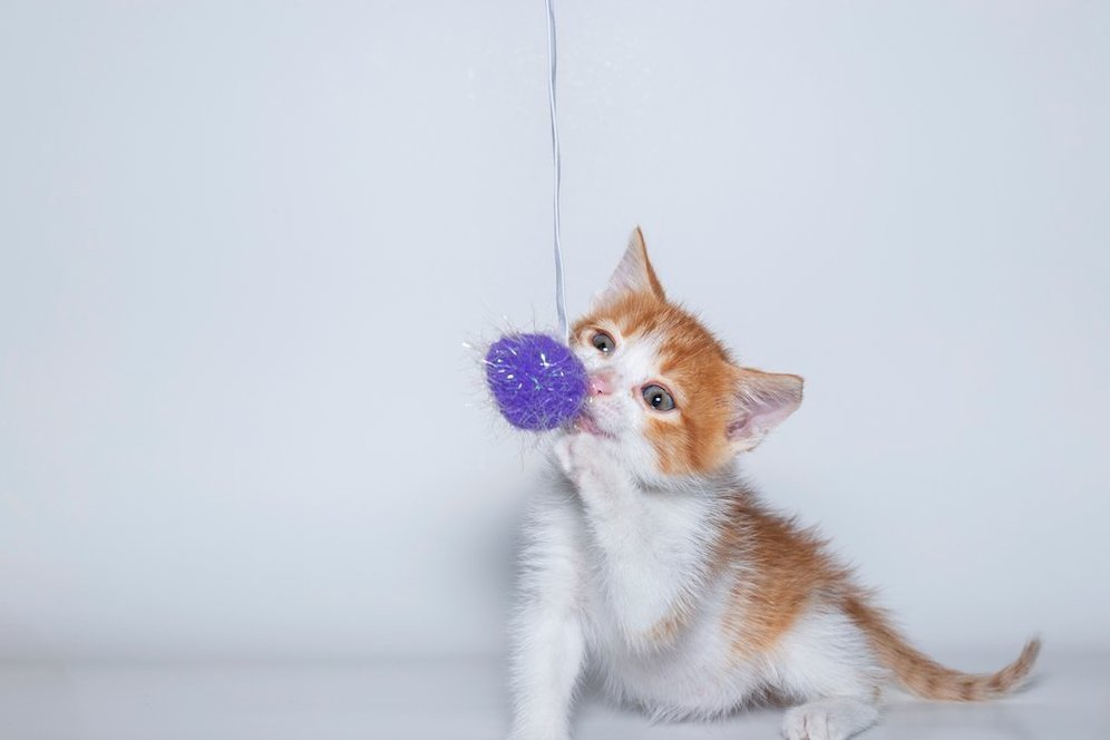  (c) shutterstock