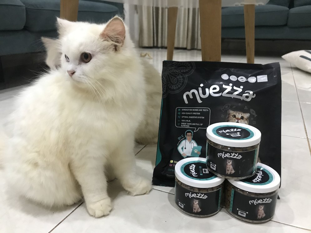  (c) instagram/datslunacat