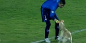 Gelaran Copa Libertadores Digegerkan Anjing Girang