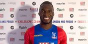 Delaney: Benteke Bukan Messi! Delaney: Benteke Bukan Messi!