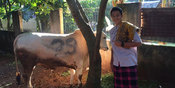 Dua Punggawa Timnas Senang Bisa BerQurban dari Penghasilan Sendiri Dua Punggawa Timnas Senang Bisa BerQurban dari Penghasilan Sendiri