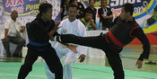 Silat Jatim Gembira Hasil Drawing Silat Jatim Gembira Hasil Drawing