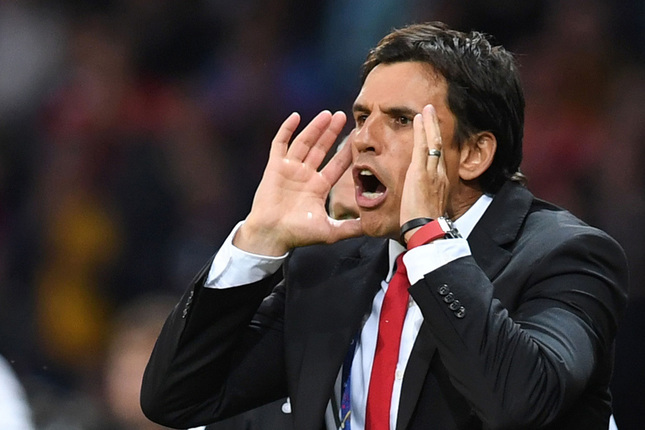 Chris Coleman - Fulham