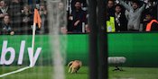 Seekor Kucing Jadi 'Man of the Match' Laga Besiktas vs Bayern