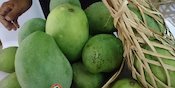 Manfaat Mangga, Cegah Penuaan Dini dan Membantu Turunkan Berat Badan Manfaat Mangga, Cegah Penuaan Dini dan Membantu Turunkan Berat Badan