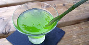 5 Manfaat Aloe Vera Gel untuk Kecantikan, Mampu Atasi Kulit Belang 5 Manfaat Aloe Vera Gel untuk Kecantikan, Mampu Atasi Kulit Belang