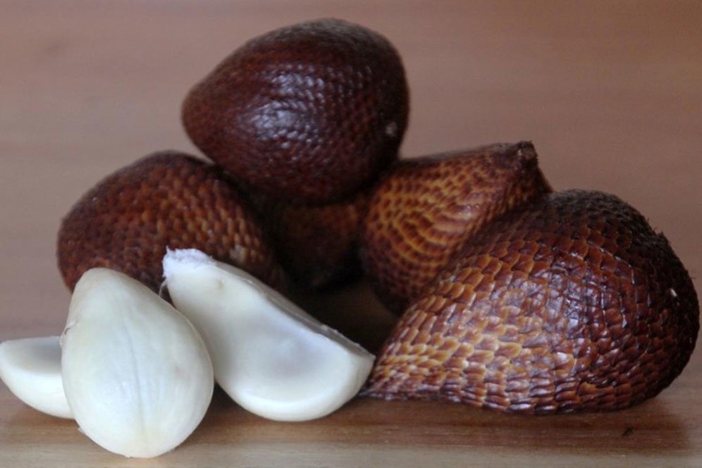 Sederet Manfaat Buah dan Biji Salak untuk Kesehatan Sederet Manfaat Buah dan Biji Salak untuk Kesehatan