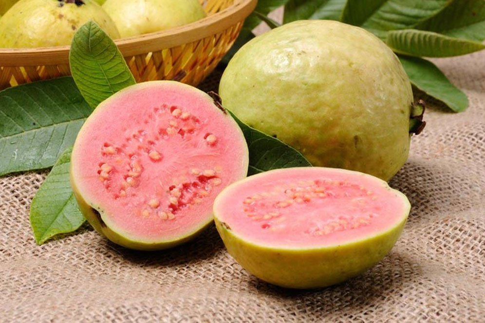 Pandemi Virus Corona, Perkuat Imun Tubuhmu dengan 4 Jenis Vitamin dan Mineral Ini Pandemi Virus Corona, Perkuat Imun Tubuhmu dengan 4 Jenis Vitamin dan Mineral Ini