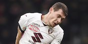 Torino, si Banteng yang Sedang Terluka