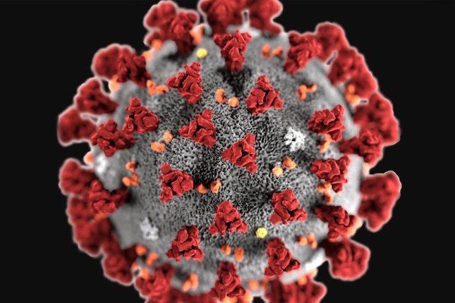 Bukan Satu-satunya Virus yang Bisa Dibasmi dengan Sabun Bukan Satu-satunya Virus yang Bisa Dibasmi dengan Sabun