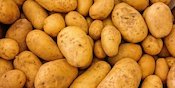 Ragam Bahan Makanan yang Bisa Jadi Pengganti Nasi untuk Buka Puasa