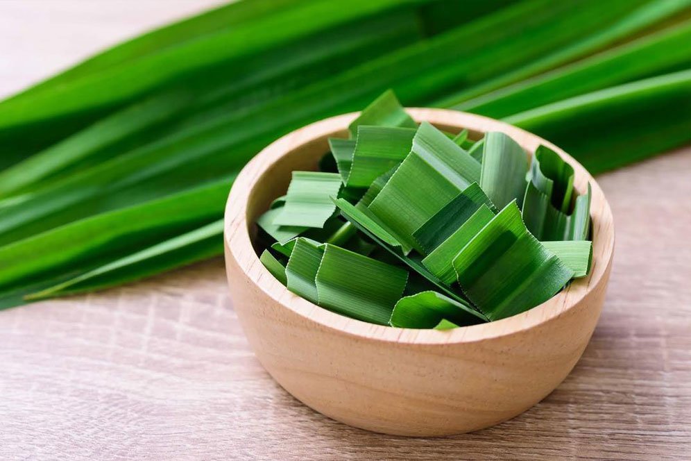 Deretan Manfaat Daun Pandan, Bisa Bantu Atasi Diare Deretan Manfaat Daun Pandan, Bisa Bantu Atasi Diare