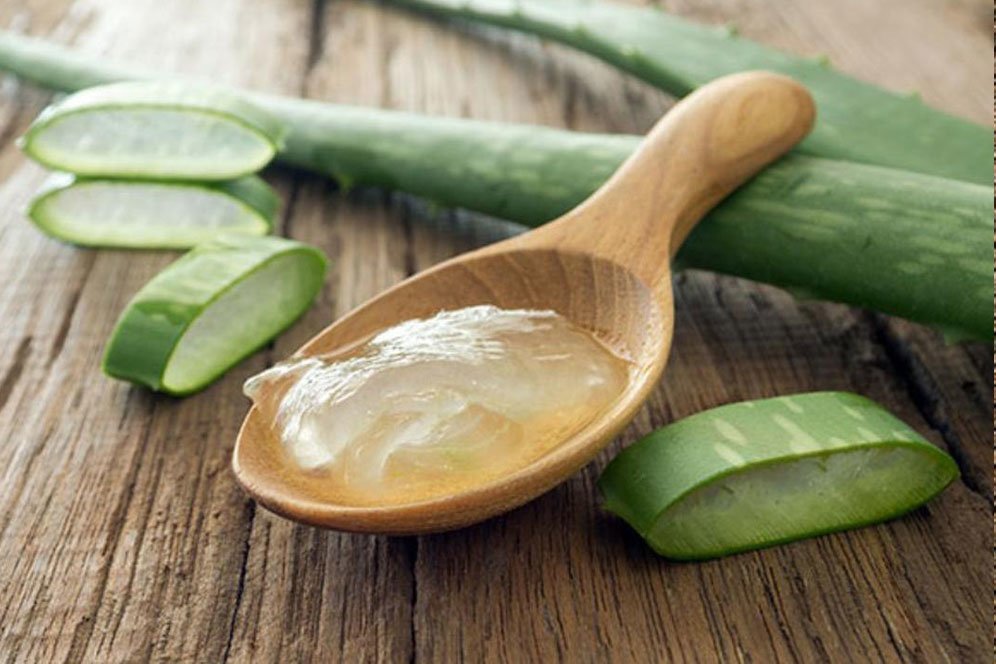 Deretan Manfaat Ampuh Lidah Buaya, Bisa Bantu Atasi Jerawat Deretan Manfaat Ampuh Lidah Buaya, Bisa Bantu Atasi Jerawat