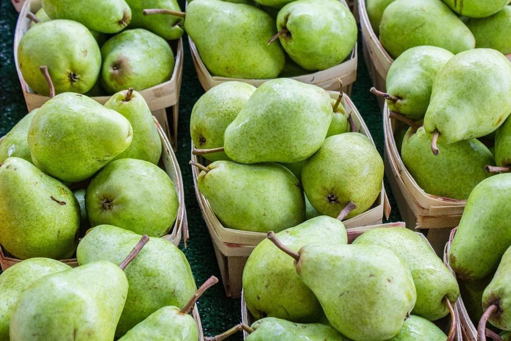 Manfaat Buah Pir untuk Tubuh, Bantu Jaga Sistem Pencernaan Manfaat Buah Pir untuk Tubuh, Bantu Jaga Sistem Pencernaan