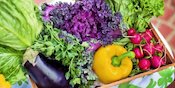 6 Ide Masakan Patut Dijajal: Camilan Kripik Sehat nan Lezat dari Buah dan Sayuran 6 Ide Masakan Patut Dijajal: Camilan Kripik Sehat nan Lezat dari Buah dan Sayuran