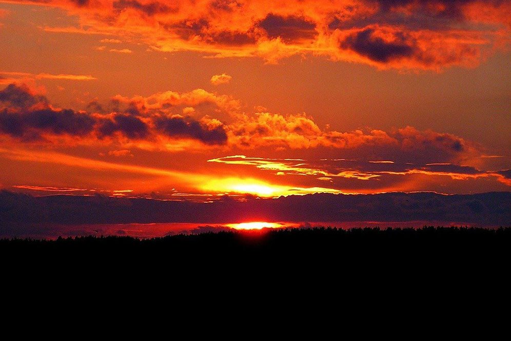 Kumpulan Puisi tentang Senja, Tak Cuma Indie Banget, tapi Juga Romantis Kumpulan Puisi tentang Senja, Tak Cuma Indie Banget, tapi Juga Romantis