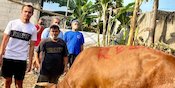 Total 3 Sapi, 2 Bintang Persija Berqurban di Idul Adha