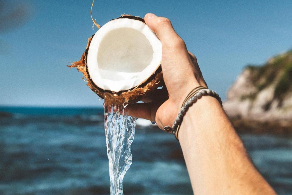 Ragam Manfaat Air Kelapa untuk Tubuh, Bantu Tepis Penyakit Ragam Manfaat Air Kelapa untuk Tubuh, Bantu Tepis Penyakit