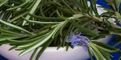 6 Manfaat Rosemary Bagi Kesehatan yang Wajib untuk Diketahui 6 Manfaat Rosemary Bagi Kesehatan yang Wajib untuk Diketahui