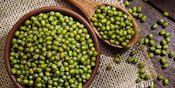 Ragam Manfaat Kacang Hijau untuk Tubuh, Bisa Bantu Atasi Diabetes Ragam Manfaat Kacang Hijau untuk Tubuh, Bisa Bantu Atasi Diabetes