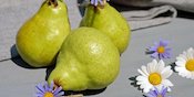 Ragam Manfaat Buah Pir untuk Keindahan Kulit dan Rambut Ragam Manfaat Buah Pir untuk Keindahan Kulit dan Rambut
