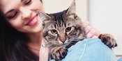 Kucing Happy Itu Tandanya Gimana Sih? Kucing Happy Itu Tandanya Gimana Sih?