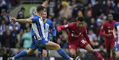 Man of the Match Brighton vs Liverpool: Lewis Dunk