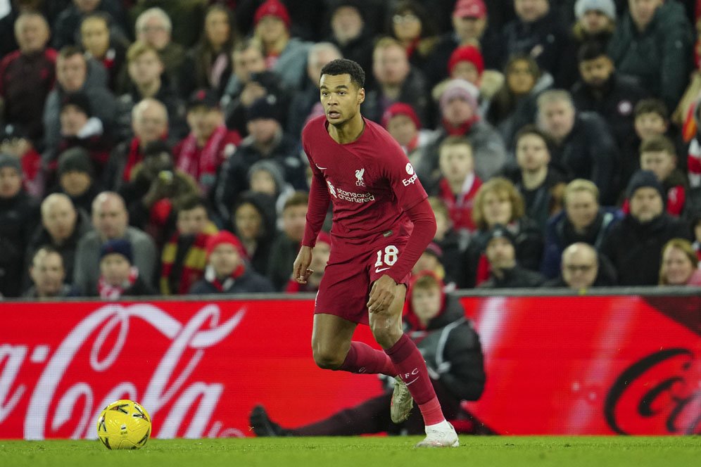 Lawan Chelsea, Liverpool Diminta Tak Mainkan Cody Gakpo Lawan Chelsea, Liverpool Diminta Tak Mainkan Cody Gakpo