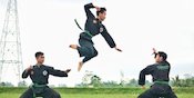 Jenis-jenis Pukulan dalam Pencak Silat