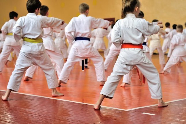 Teknik Dasar Taekwondo Teknik Dasar Taekwondo