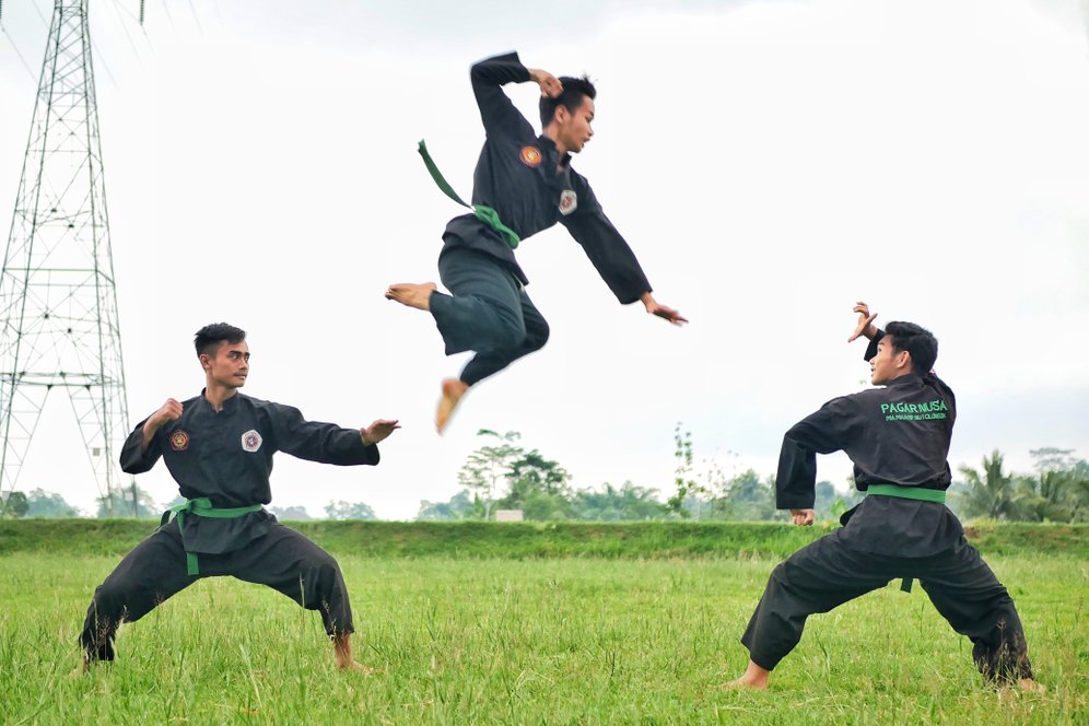 Jenis-jenis Pukulan dalam Pencak Silat