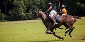 Pengertian dan Sejarah Olahraga Polo Berkuda, Kenali Juga Peraturannya Pengertian dan Sejarah Olahraga Polo Berkuda, Kenali Juga Peraturannya